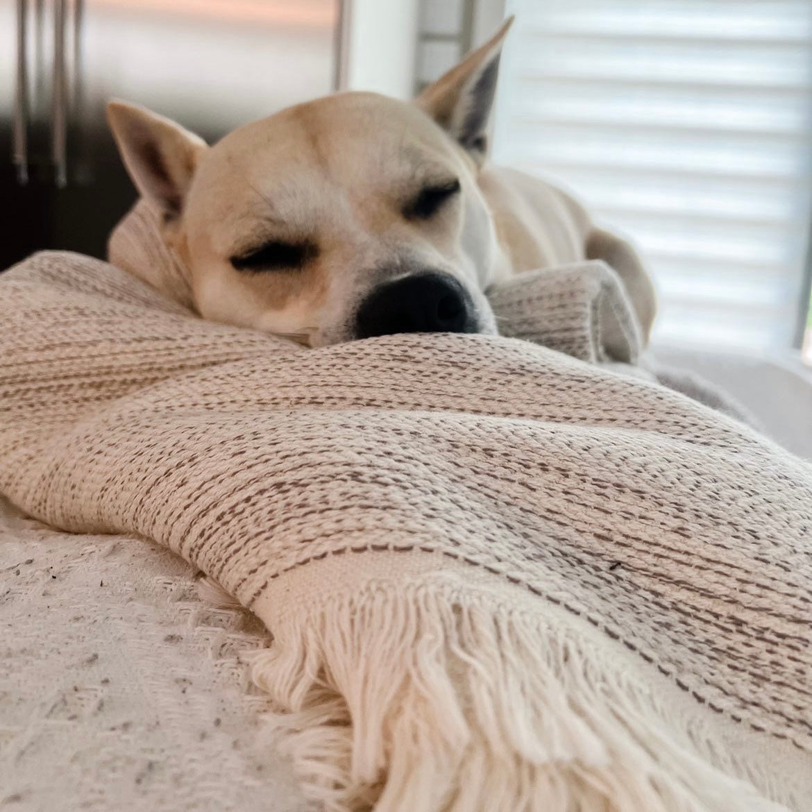 Grace Throw Blankets